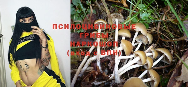ешки Корсаков