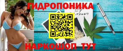 jwh Канаш